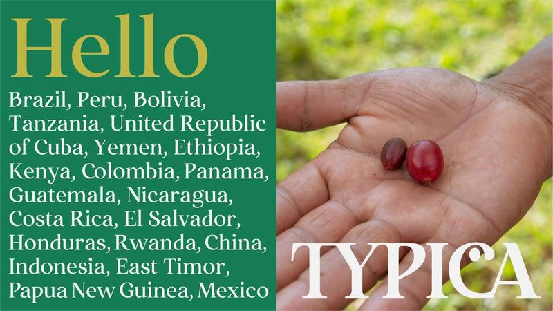 Technoretail - TYPICA aiuta i produttori e i torrefattori italiani di caffè nel semplificare la supply chain 