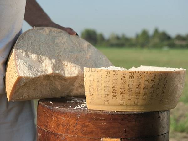 Technoretail - Consorzio Parmigiano Reggiano sceglie Selligent Marketing Cloud per la comunicazione one-to-one 