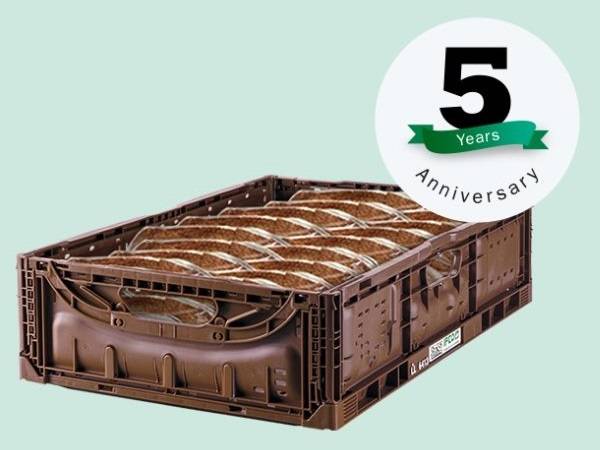 Technoretail - Per IFCO, quinto anniversario e successo internazionale dei suoi imballaggi RPC 