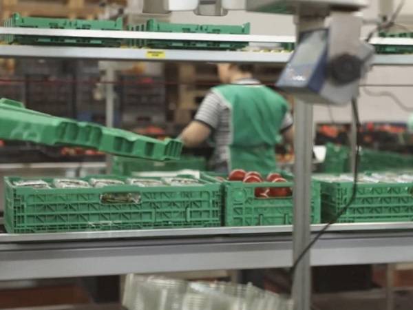 Technoretail - Con i suoi RPC, IFCO rinnova l’impegno contro il food waste 
