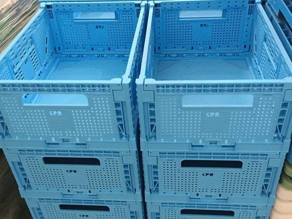 Technoretail - UniCoop Firenze adotta le casse azzurre per il pesce di CPR System  Technoretail - UniCoop Firenze adotta le casse azzurre per il pesce di CPR System