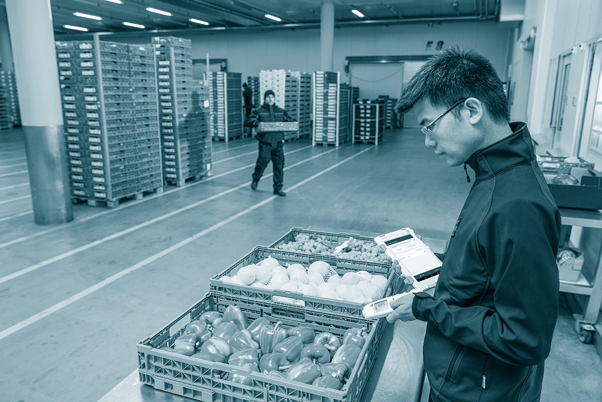 Technoretail - Testo Saveris Food: un “consulente” su misura per la sicurezza degli alimenti  