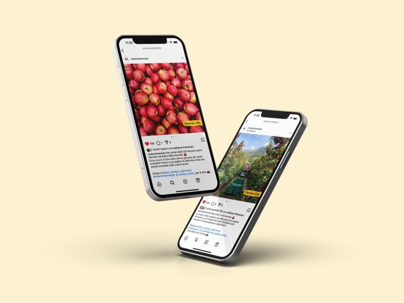 Technoretail - Vip rafforza il legame tra produttori di mele e consumatori 