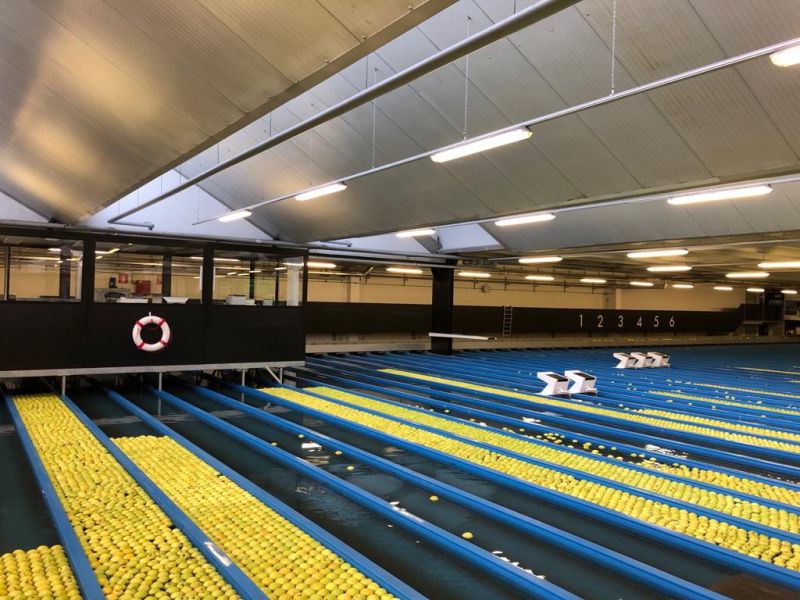 Technoretail - Vip: le mele della Val Venosta sempre fresche con la logistica hi-tech 