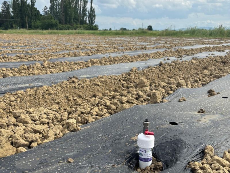 Technoretail - Agribologna: al via il progetto Firo per un’agricoltura più smart 