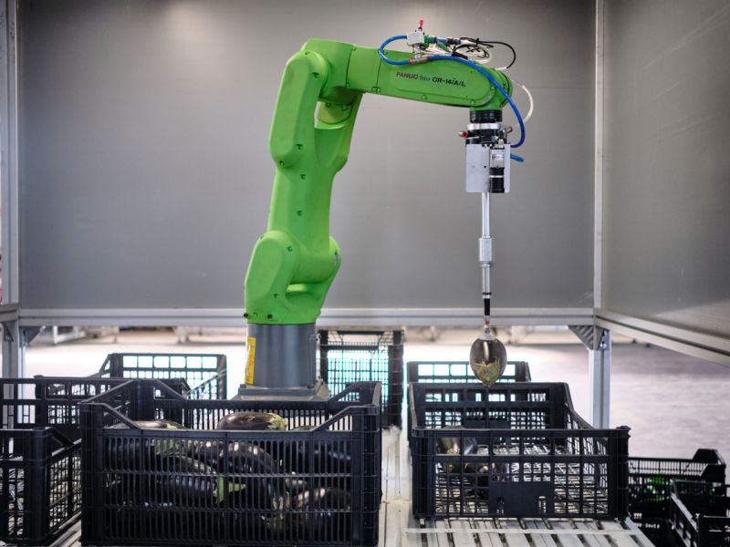 Technoretail - Centro Lazio: test su robotica collaborativa e AI per l’agroalimentare 