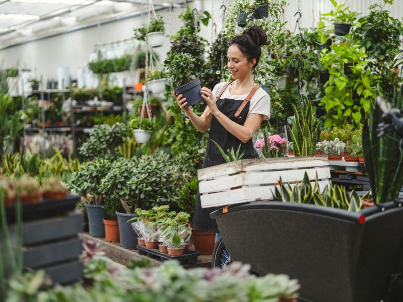 Technoretail - LOYALTY 