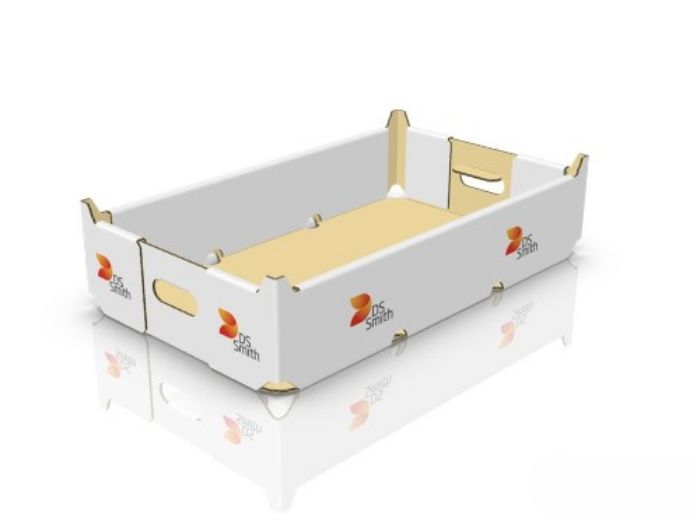 Technoretail - Qwarzo e DS Smith rivoluzionano il packaging ittico col cartone 