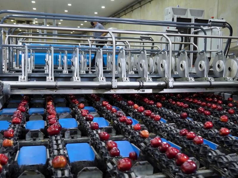 Technoretail - Sinclair e Washington Fruit: una partnership che dura da oltre 30 anni 