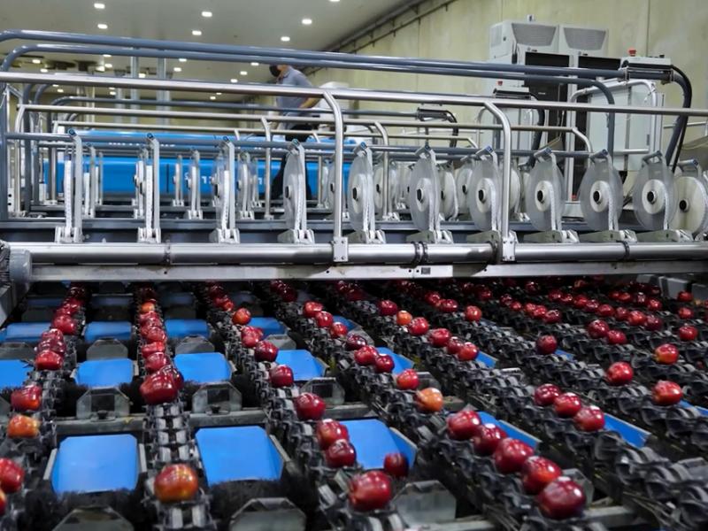 Technoretail - CASE HISTORY 