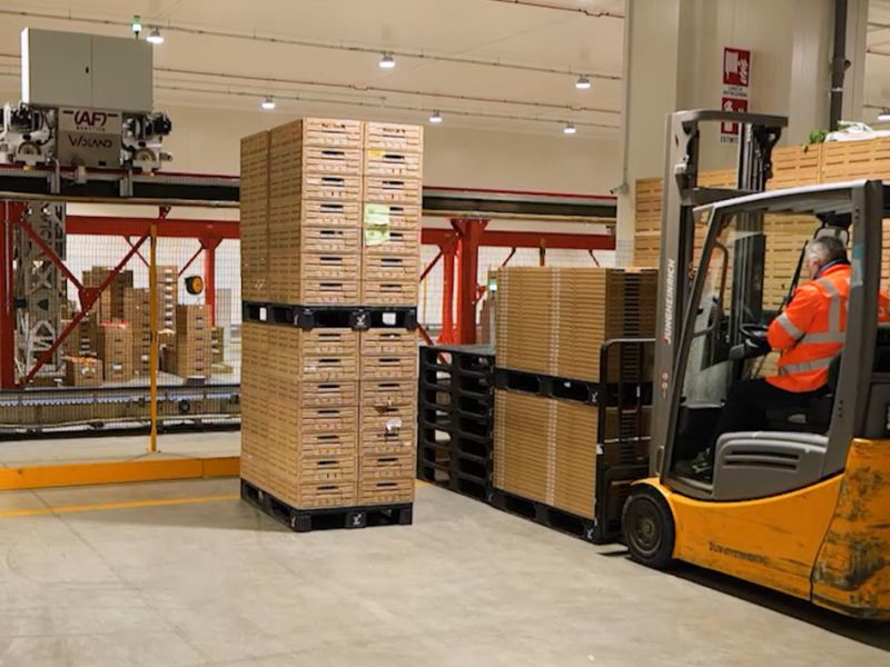 Technoretail - Tosca e Cabka: nuovo circular pallet per supply chain moderne 