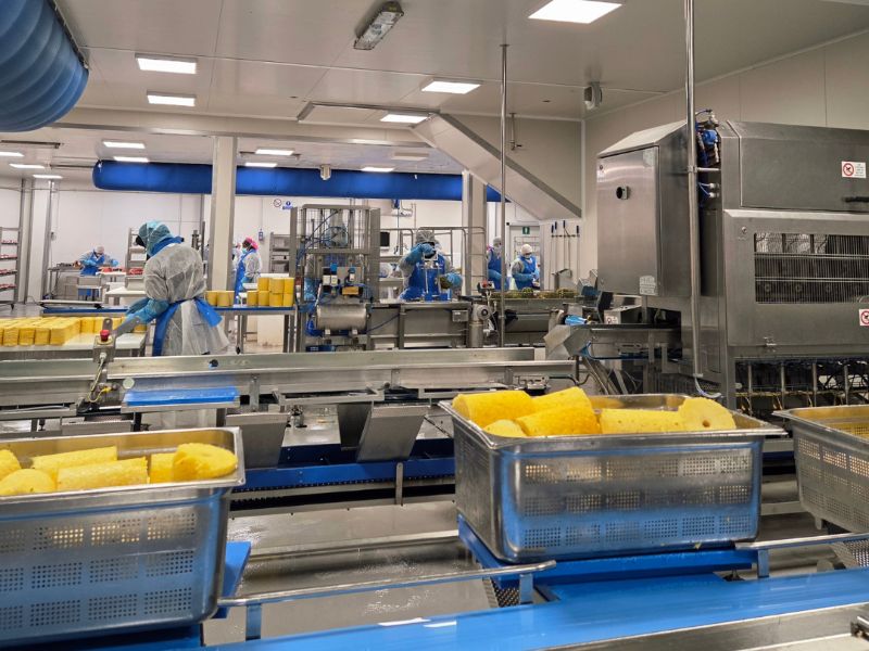 Technoretail - Fruttital amplia lo stabilimento di Verona dedicato alla IV gamma 