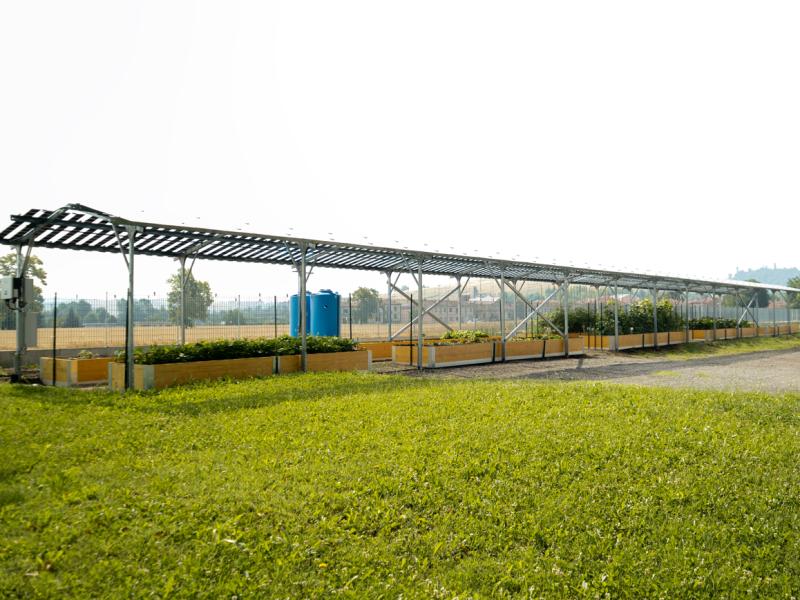 Ecomotive Solutions: parte il primo impianto del BioOrto ElettroAttivo