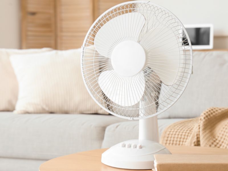 Technoretail - Alibaba.com: in UE ventilatori portatili in crescita negli ordini B2B 
