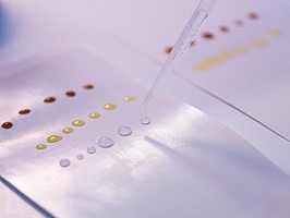 Footprint e Qwarzo accelerano lo sviluppo di soluzioni per bicchieri privi di polietilene