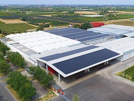 Agrintesa: automazione e digitale per il nuovo hub europeo del kiwi di Castel Bolognese
