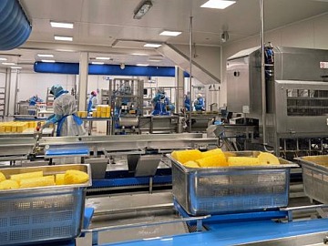Technoretail - iGuzzini illumina FICO 