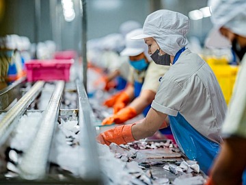 Technoretail - Instagram approda all&rsquo;e-commerce anche in Italia 